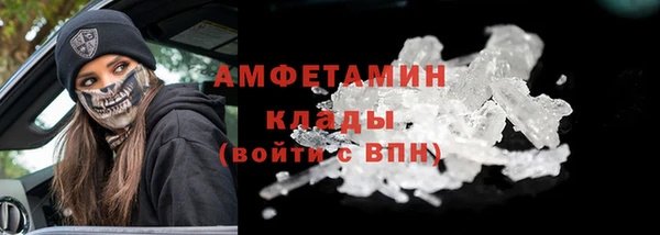 шишки Рославль