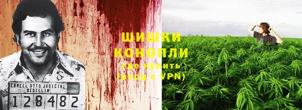 шишки Рославль