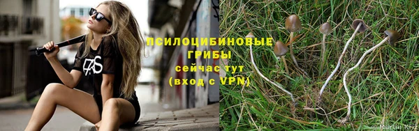 шишки Рославль