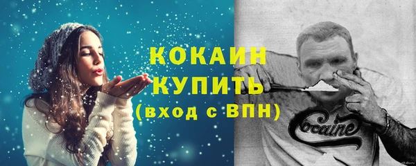 шишки Рославль