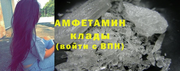 шишки Рославль