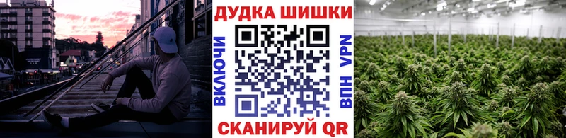 МАРИХУАНА семена  Галич 